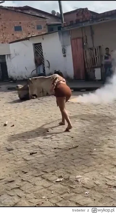 trebeter - #trzecieoko #sylwesterzwykopem

https://dubz.link/c/0ec280