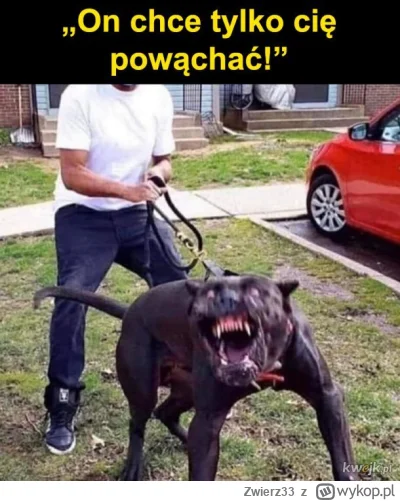 Zwierz33 - Moja propozycja na ukrócenie patologii z psami jest prosta i skuteczna. 

...