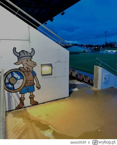 quaz2020 - #mecz ja myślałem ze on jest maluje a tego przykleił po prostu xd ale i ta...