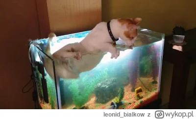 leonid_bialkow - jestem rybom