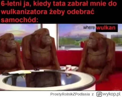 ProstyRolnikZPodlasia - #humorobrazkowy #heheszki