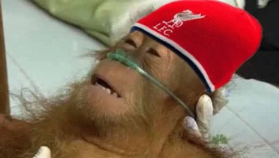 pawelgk - TLENU
#mecz #lfc