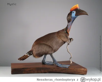 Nessiteras_rhombopteryx - #gabinetosobliwosci
SPOILER