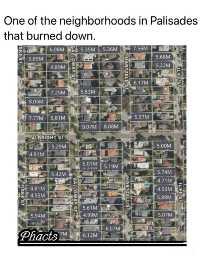 Phallusimpudicus - #nieruchomosci