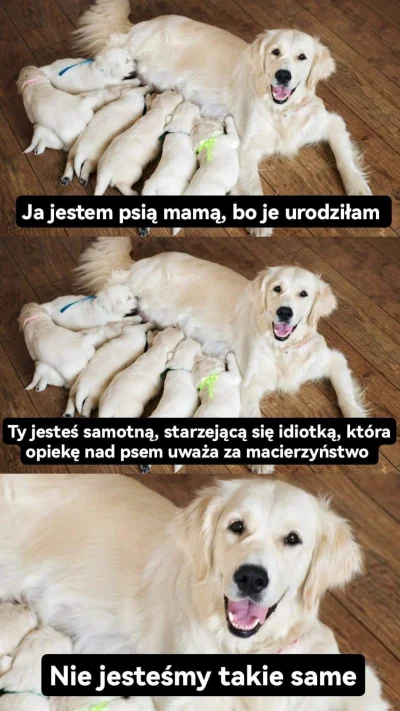 Bosayerba - #takaprawda