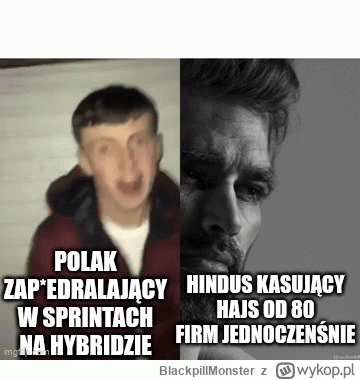 BlackpillMonster - #programista15k #programowanie #pracait #korposwiat