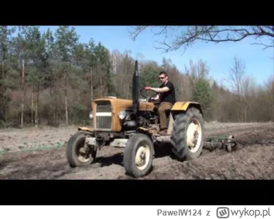 PawelW124 - #rolnictwo #ogrodnictwo #przegryw #ogrod

20 maja wysiałem 4 rządki fasol...