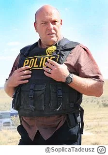 SoplicaTadeusz - Hank to jedyny gość, do którego czułem sympatię w tym serialu. Może ...