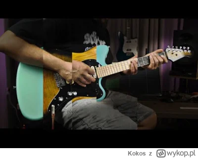 Kokos - "Jaki wpływ na brzmienie gitary ma rodzaj użytego drewna? Co bardziej wpływa ...