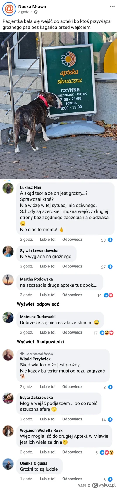 A330 - Ktoś zostawia groźnego psa bez kagańca przywiązanego pod apteką, ludzie się bo...