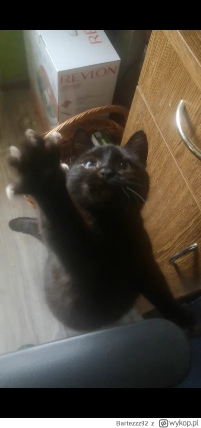 Bartezzz92 - Dawaj arbuza typie, bo te pazurki zaśpiewają danza kuduro
#codziennybato...