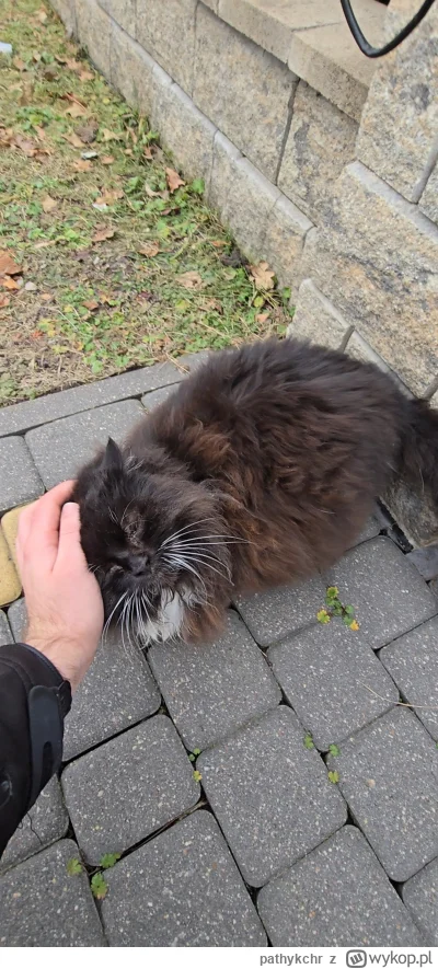 pathykchr - Mizianko