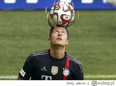 zloty_wkret - #lewandowski 
Widzisz Lewy, są jakieś plusy tej całej sytuacji. Przynaj...