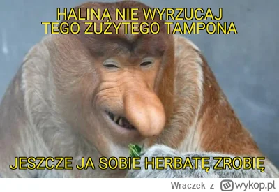 Wraczek - #konkursnanajbardziejgownianymemznosaczem