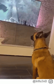 Influ3nD - #smiesznypiesek