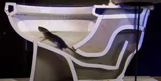 ThinkBackwards - @SatanWasa_Babyboomer: Mi baby nie trzeba do takich rzeczy - wystarc...