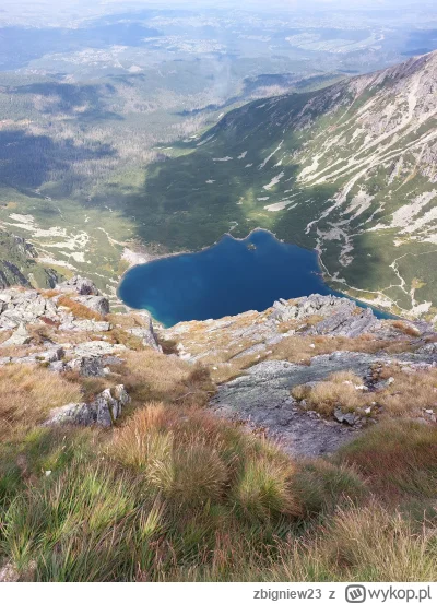 zbigniew23 - @hos85 przedwoczoraj wróciłem (｡◕‿‿◕｡)