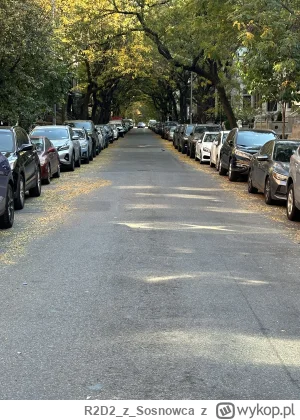 R2D2zSosnowca - @R2D2zSosnowca po Nowym Jorku jesienią widać jaki tu panuje mikroklim...