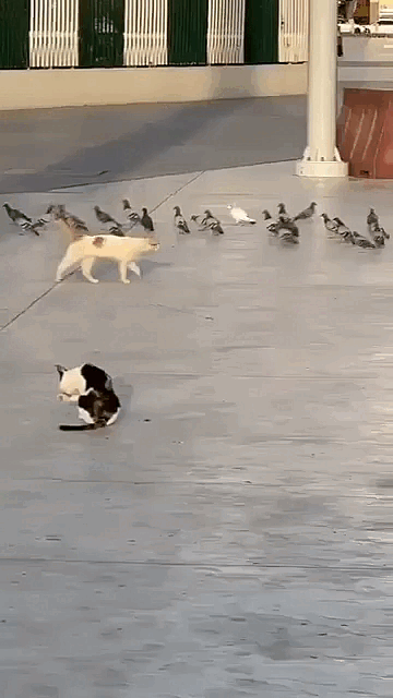 jestemtakizmeczony - @jestemtakizmeczony: