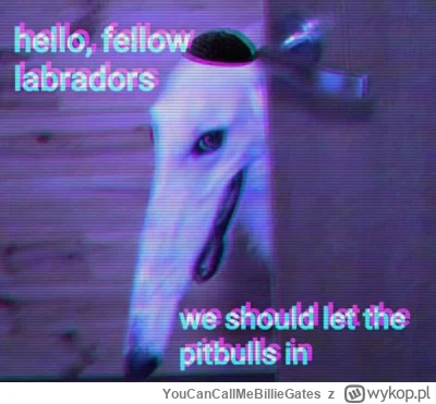 YouCanCallMeBillieGates - @GratisLPG: