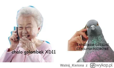 Walnij_Kielona - #humorobrazkowy #heheszki #smiesznypiesek