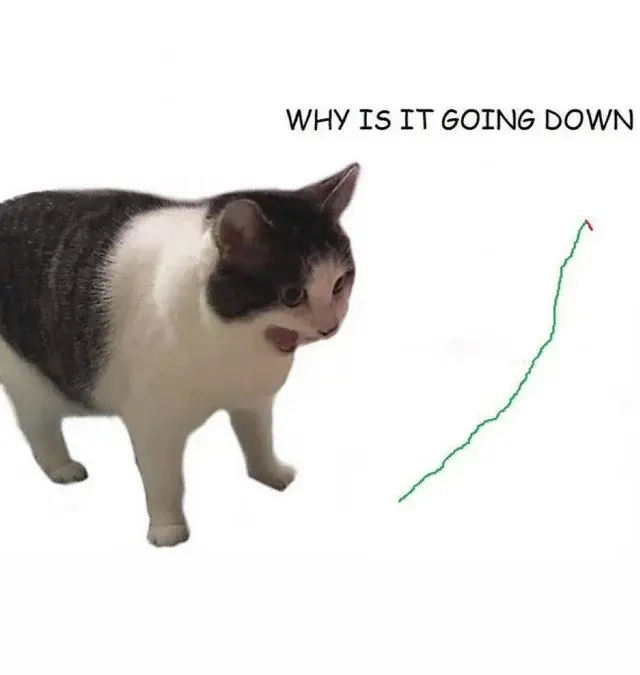 kokojumboidoprzodu - #gielda