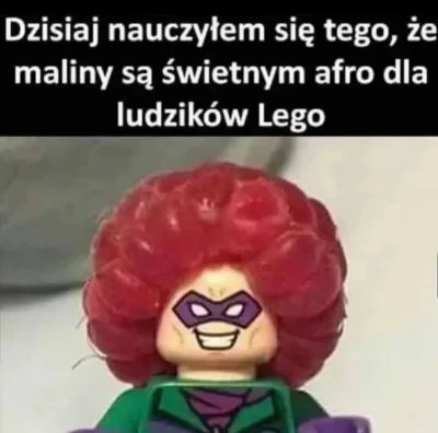 enforcer - #pasjonaciubogiegozartu #lego