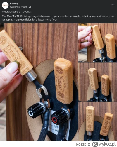 Roszp - Na początku myślałem, że to jakiś opornik – jak słynna skrzyneczka SPEC. Otóż...