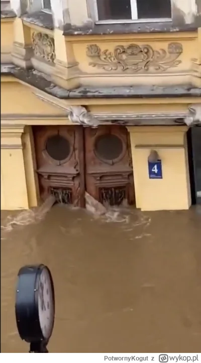 PotwornyKogut - znalazłem winowajcę #powodz