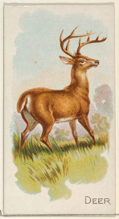 Loskamilos1 - Karta numer 31, a na niej jeleń.

#necrobook #jelenie