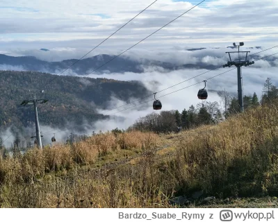 BardzoSuabeRymy - #przegryw #spierdotrip 
klasa wyższa oskarkowa ciemięży huopa jadąc...