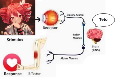 JatuArmy - @Konto4Czarnolisto: