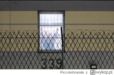PiccoloGrande - Maciej Wąsik w oknie zakładu karnego.

Jest w tym zdjęciu coś, co bud...