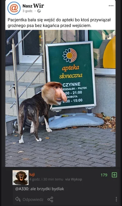 ryhu - #konkursnanajbardziejgownianymemznosaczem