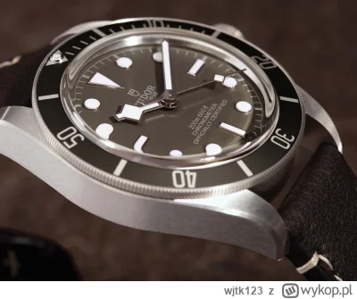 wjtk123 - #zegareknadzis

Tudor Black Bay 58, w wersji z kopertą wykonaną w całości z...