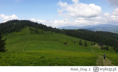 Rain_Dog - 155 399,76 - 7,25 - 17,40 - 14,00 - 19,05 - 30,06 = 155 312,00

Podsumowan...