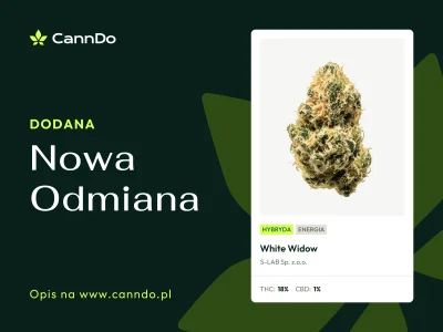 CannDo_pl - Ostatnio w aptekach pojawiła się nowa odmiana od S-Lab - White Widow - le...