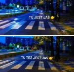 cwlmod - Mam pytanie do #miernotydrogowe, które tak pyskują we wpisie o potrąceniu ci...