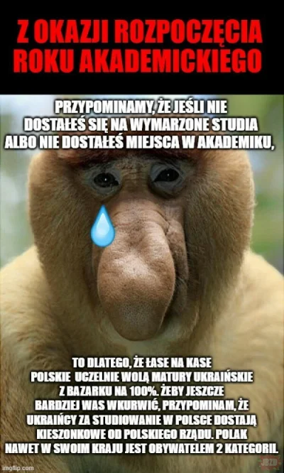 panzergruz - @wojstenik: