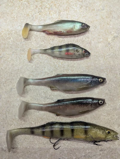 bezi - Jeszcze tylko jutro i zaczynamy polowanie !
Pierwsze w moim wydaniu testy gum ...