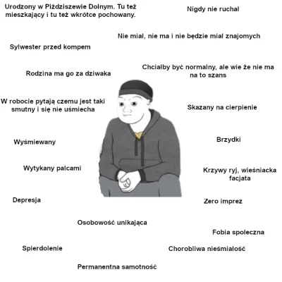 Synco - No.

#przegryw #samotnosc #depresja #s----------e #fobiaspoleczna