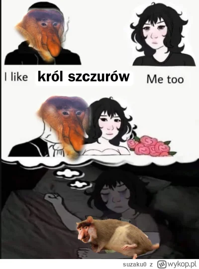 suzaku0 - #konkursnanajbardziejgownianymemznosaczem