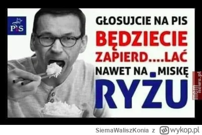 SiemaWaliszKonia - #polityka #heheszki #bekazpisu #humorobrazkowy