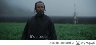 SuicideLeopard - Drink pity, zajadam się chipsami z lidla
Kobieta w kuchni robi sushi...