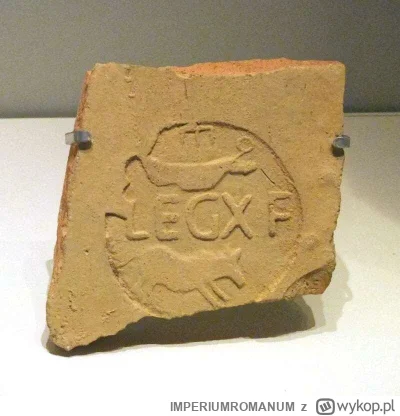 IMPERIUMROMANUM - Stempel legionu X Fretensis

Fragment materiału z rzymskim stemplem...