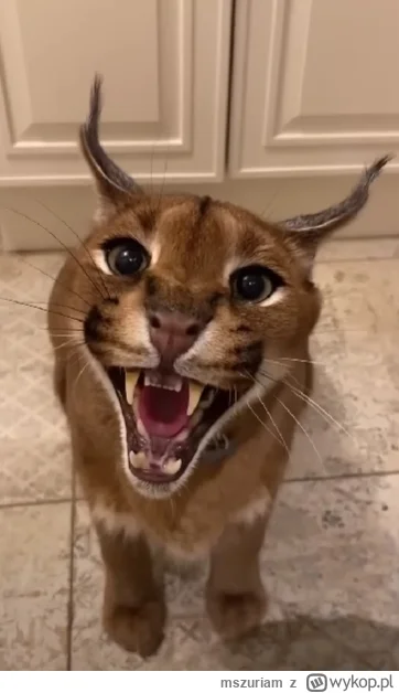 mszuriam - @worm_nimda: :*
 #muzykaklasyczna #muzykafilmowa #muzyka #muzykaelektronic...