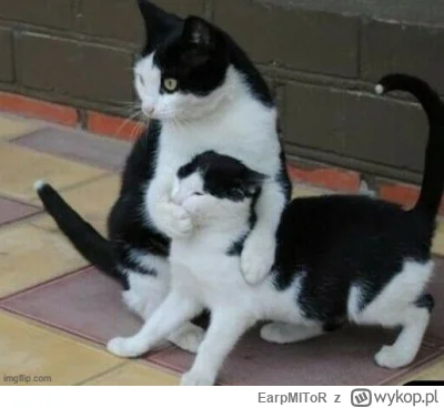 EarpMIToR - @Marko231: