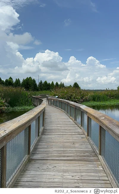 R2D2zSosnowca - Sweetwater Wetlands Park #floryda +37C 87% wilgotności powietrza. Odc...