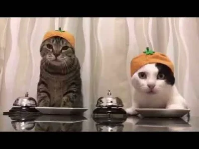 fuechsinn - @Timer_555 to mi się przypomniało xD