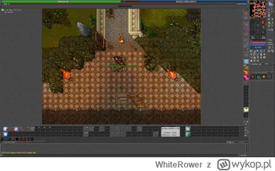 WhiteRower - A wiecie, że ba ripptorze można jeździć nawet będąc facc? XD
#tibia